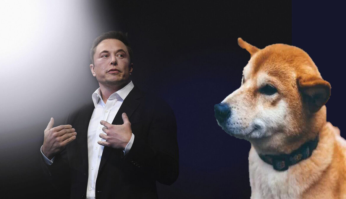 Elon Musk Selling NFT But Only DOGE Accepted - Crypto News ...