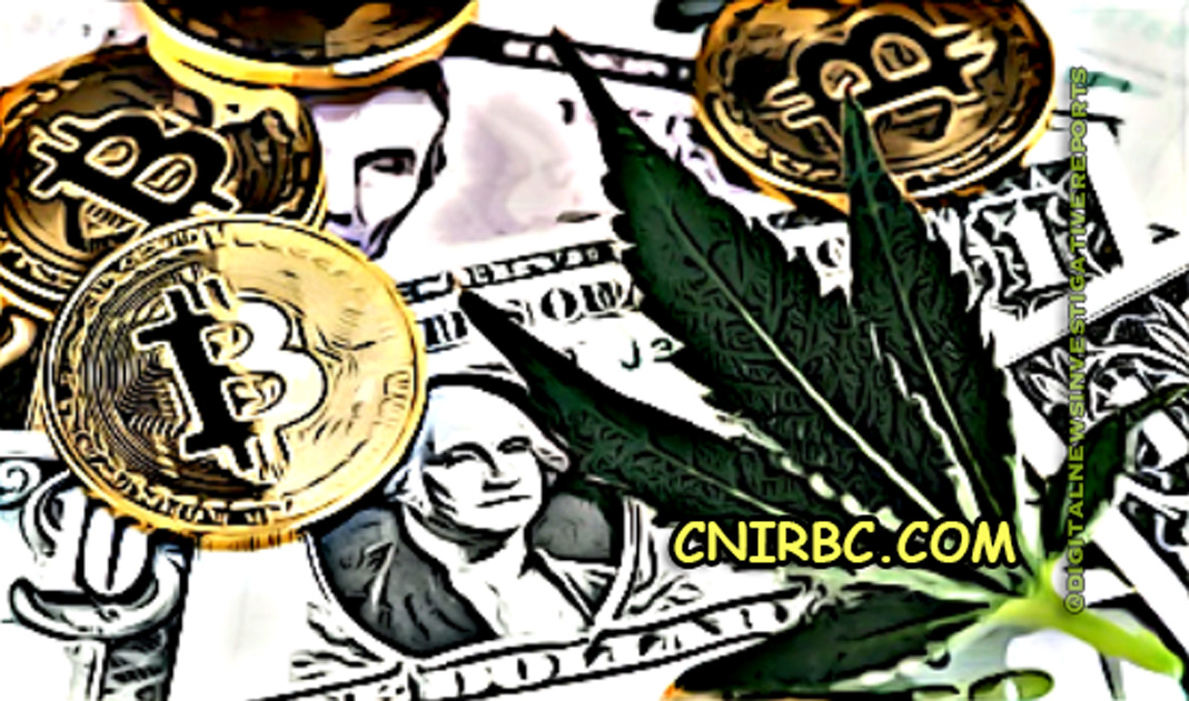 Crypto & Cannabis: Potential Merger Sparks Congressional Discussion