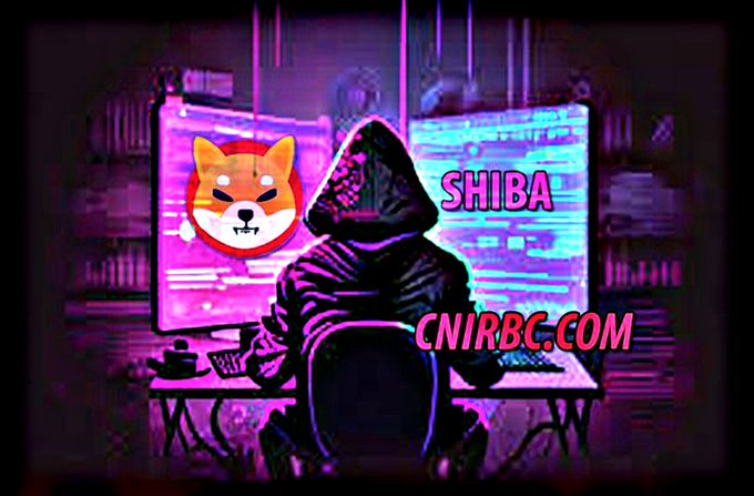 Shiba Inu Developer Issues Warning After Massive Wazir Hack