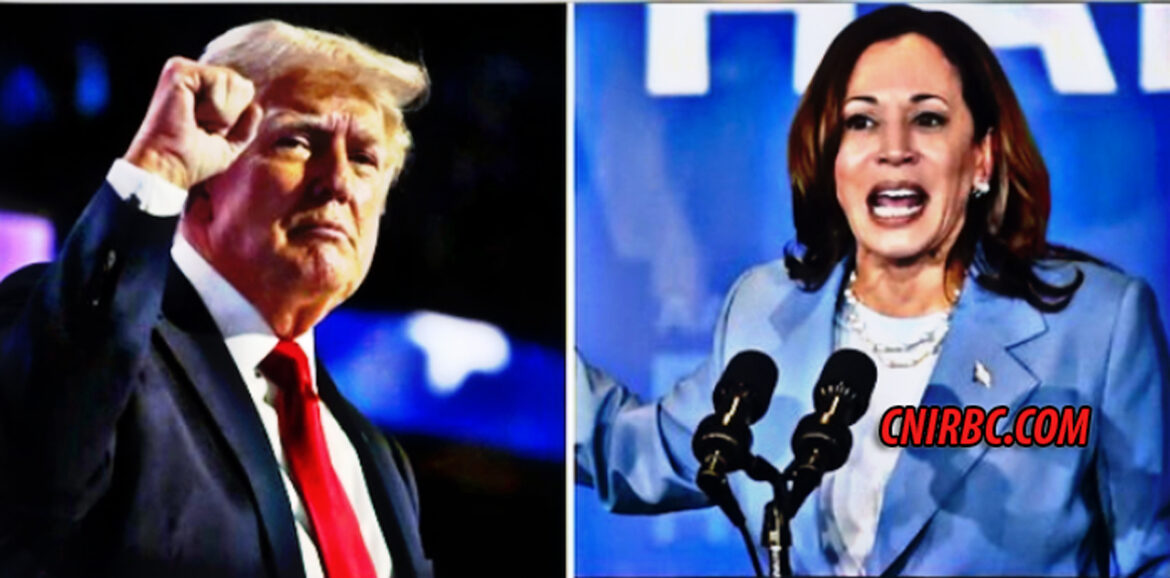 Chasing the Crypto Vote: Trump & Harris Battle for Industry Support in 2024 Election